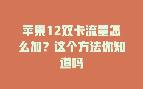 苹果12双卡流量怎么加?这个方法你知道吗