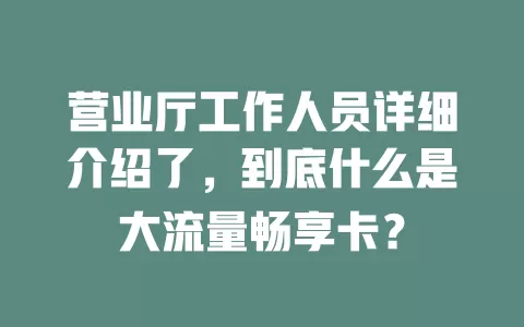营业厅工作人员详细介绍了,到底什么是大流量畅享卡?