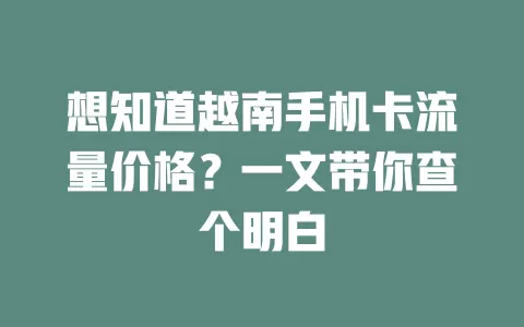 想知道越南手机卡流量价格?一文带你查个明白