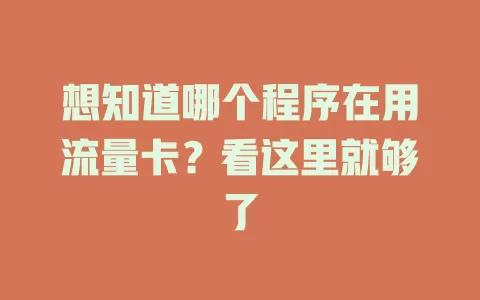 想知道哪个程序在用流量卡？看这里就够了