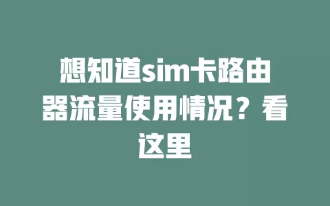 想知道sim卡路由器流量使用情况?看这里