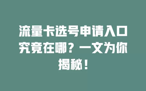 流量卡选号申请入口究竟在哪?一文为你揭秘!