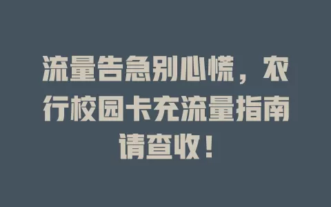 流量告急别心慌，农行校园卡充流量指南请查收！