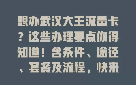 想办武汉大王流量卡?这些办理要点你得知道!含条件、途径、套餐及流程,快来看!