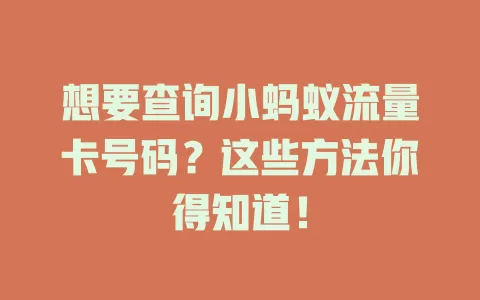 想要查询小蚂蚁流量卡号码?这些方法你得知道!