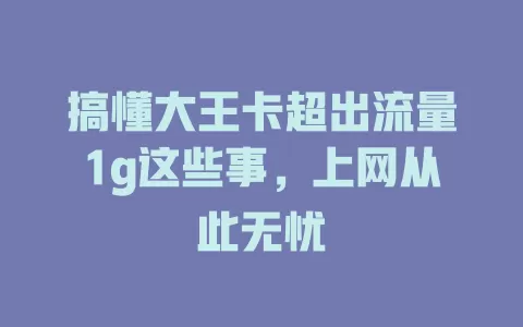 搞懂大王卡超出流量1g这些事,上网从此无忧