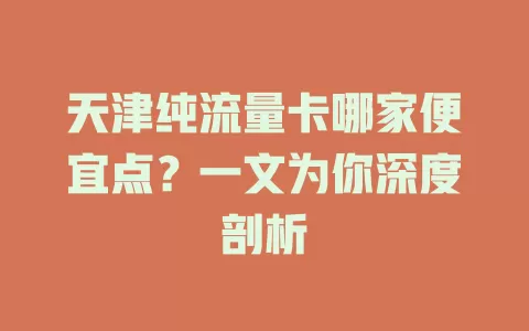 天津纯流量卡哪家便宜点?一文为你深度剖析