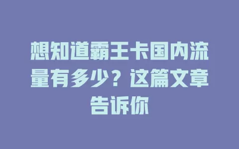 想知道霸王卡国内流量有多少?这篇文章告诉你
