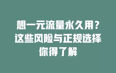 想一元流量永久用?这些风险与正规选择你得了解