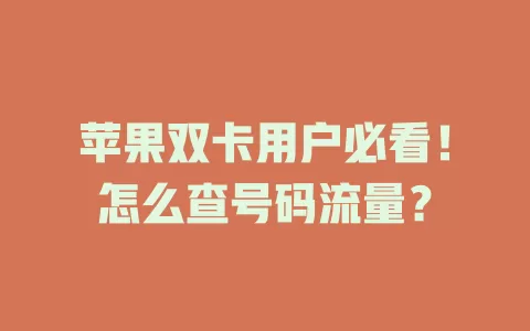 苹果双卡用户必看!怎么查号码流量?