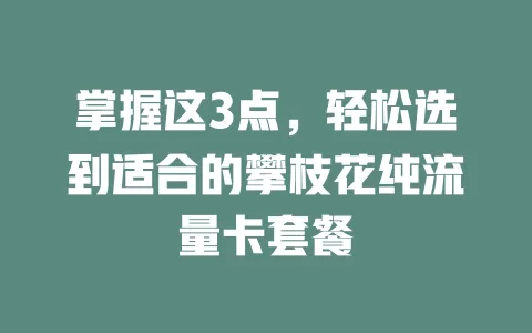 掌握这3点,轻松选到适合的攀枝花纯流量卡套餐