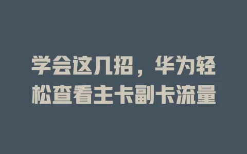 学会这几招，华为轻松查看主卡副卡流量