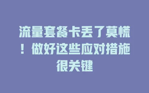 流量套餐卡丢了莫慌!做好这些应对措施很关键