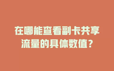 在哪能查看副卡共享流量的具体数值?