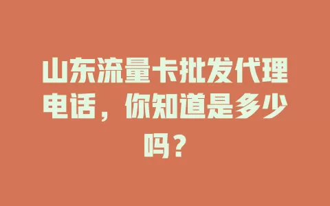 山东流量卡批发代理电话,你知道是多少吗?