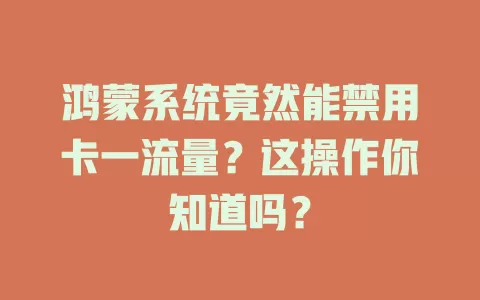 鸿蒙系统竟然能禁用卡一流量?这操作你知道吗?