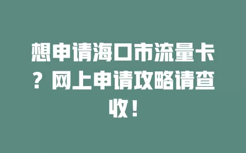 想申请海口市流量卡?网上申请攻略请查收!