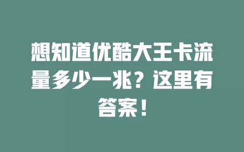 想知道优酷大王卡流量多少一兆?这里有答案!