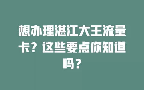 想办理湛江大王流量卡?这些要点你知道吗?