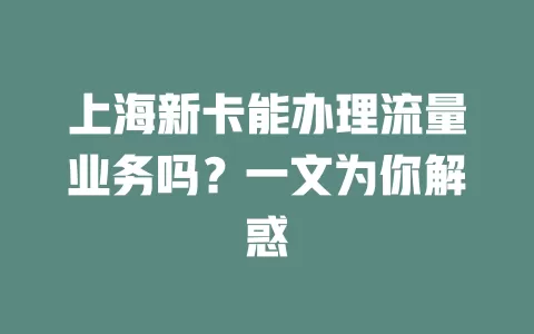上海新卡能办理流量业务吗?一文为你解惑