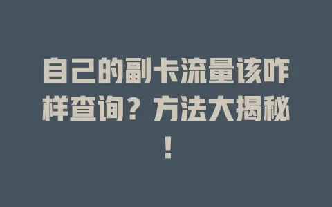 自己的副卡流量该咋样查询？方法大揭秘！