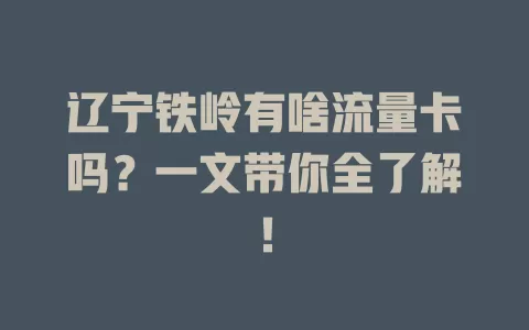 辽宁铁岭有啥流量卡吗?一文带你全了解!
