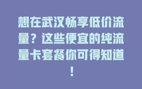 想在武汉畅享低价流量？这些便宜的纯流量卡套餐你可得知道！