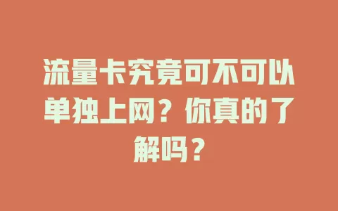 流量卡究竟可不可以单独上网?你真的了解吗?
