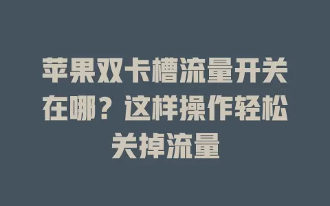 苹果双卡槽流量开关在哪?这样操作轻松关掉流量
