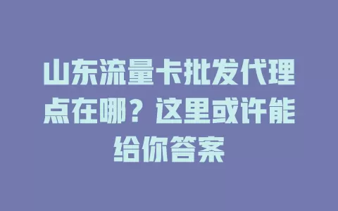 山东流量卡批发代理点在哪?这里或许能给你答案