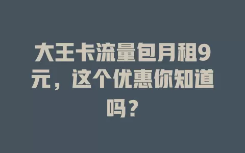 大王卡流量包月租9元,这个优惠你知道吗?