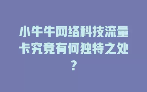 小牛牛网络科技流量卡究竟有何独特之处?