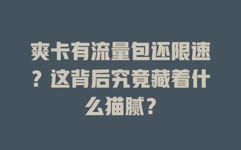 爽卡有流量包还限速?这背后究竟藏着什么猫腻?