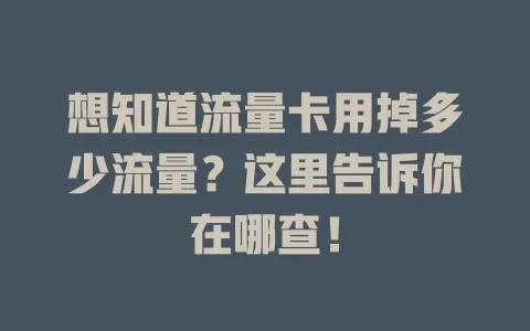 想知道流量卡用掉多少流量?这里告诉你在哪查!