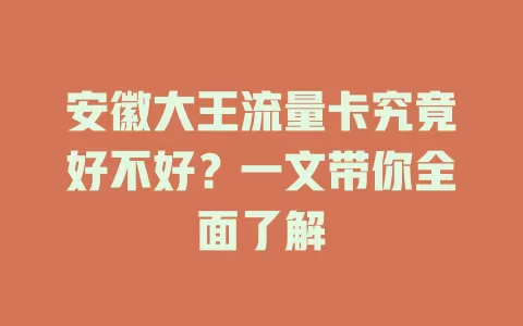 安徽大王流量卡究竟好不好?一文带你全面了解