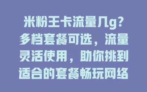 米粉王卡流量几g?多档套餐可选,流量灵活使用,助你挑到适合的套餐畅玩网络