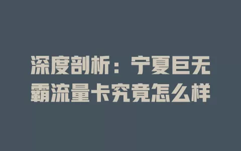 深度剖析:宁夏巨无霸流量卡究竟怎么样