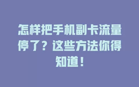 怎样把手机副卡流量停了?这些方法你得知道!