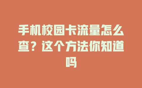 手机校园卡流量怎么查?这个方法你知道吗