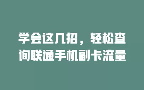 学会这几招,轻松查询联通手机副卡流量