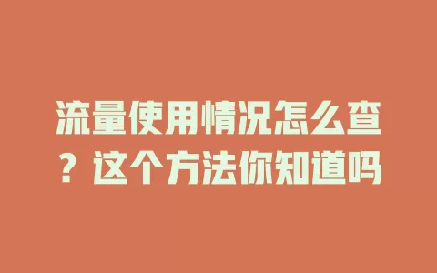流量使用情况怎么查?这个方法你知道吗