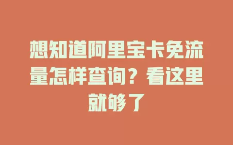 想知道阿里宝卡免流量怎样查询?看这里就够了