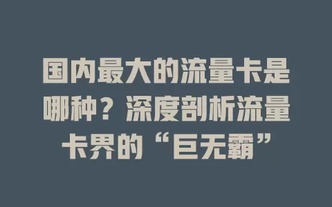 国内最大的流量卡是哪种?深度剖析流量卡界的“巨无霸”