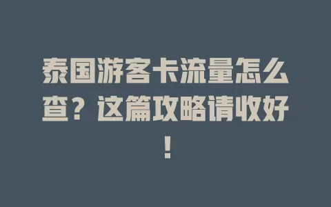 泰国游客卡流量怎么查?这篇攻略请收好!