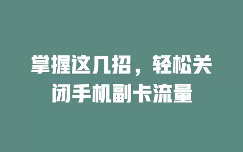 掌握这几招,轻松关闭手机副卡流量