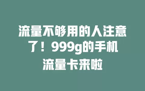 流量不够用的人注意了!999g的手机流量卡来啦