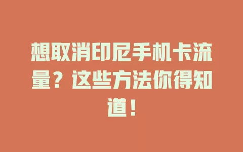 想取消印尼手机卡流量?这些方法你得知道!