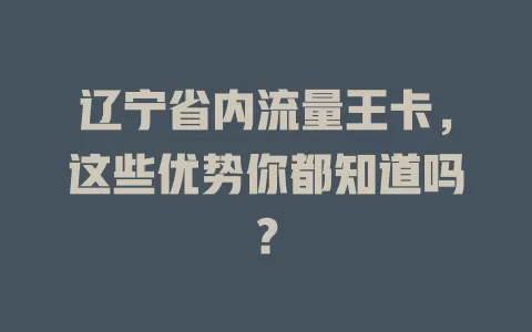 辽宁省内流量王卡,这些优势你都知道吗?