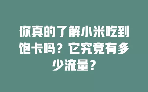 你真的了解小米吃到饱卡吗?它究竟有多少流量?