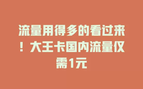 流量用得多的看过来!大王卡国内流量仅需1元